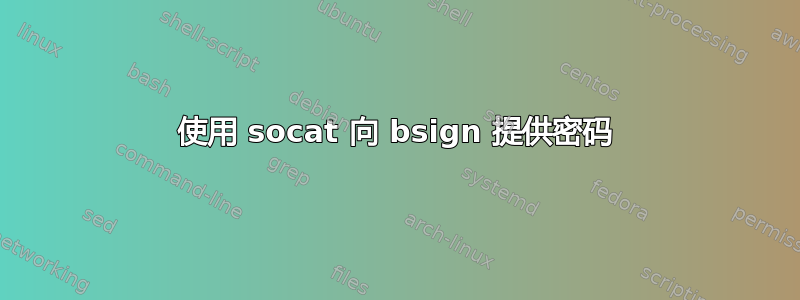 使用 socat 向 bsign 提供密码