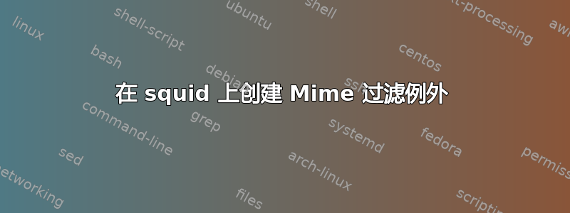 在 squid 上创建 Mime 过滤例外