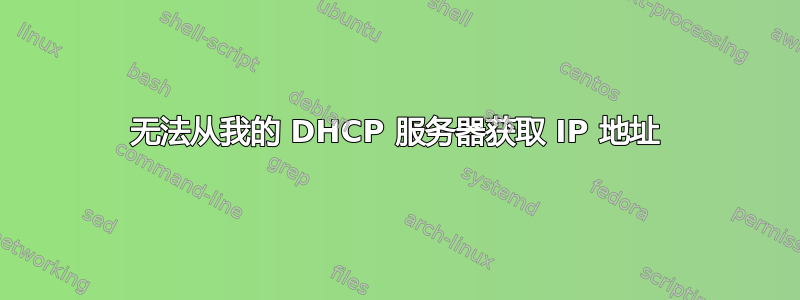 无法从我的 DHCP 服务器获取 IP 地址