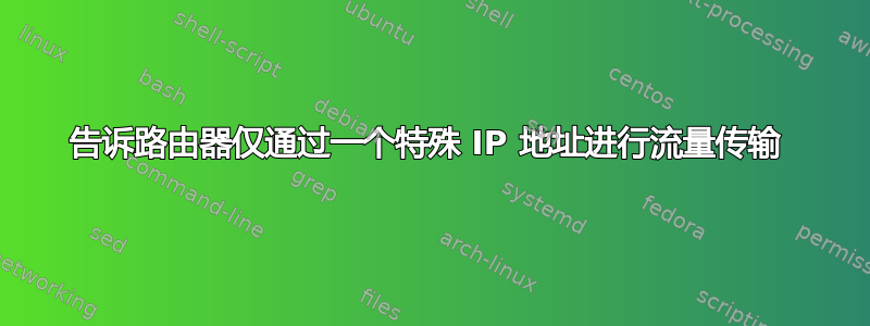 告诉路由器仅通过一个特殊 IP 地址进行流量传输 