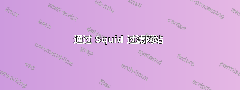 通过 Squid 过滤网站