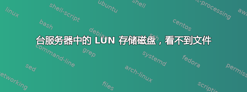 2 台服务器中的 LUN 存储磁盘，看不到文件