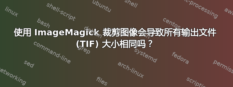 使用 ImageMagick 裁剪图像会导致所有输出文件 (TIF) 大小相同吗？