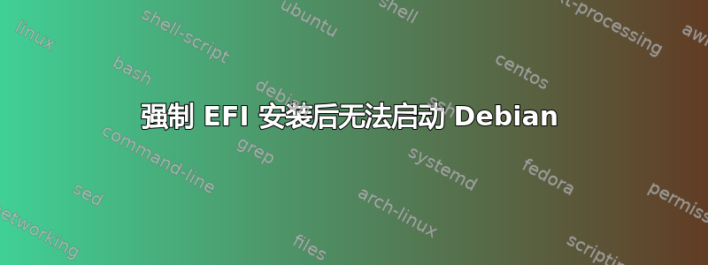 强制 EFI 安装后无法启动 Debian