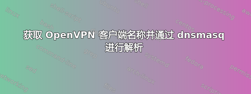 获取 OpenVPN 客户端名称并通过 dnsmasq 进行解析