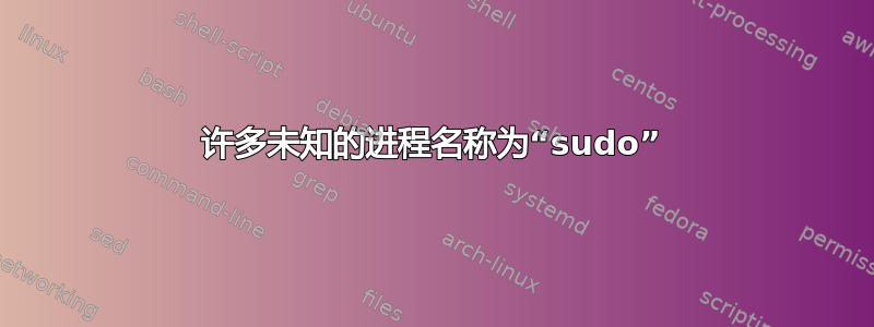 许多未知的进程名称为“sudo”