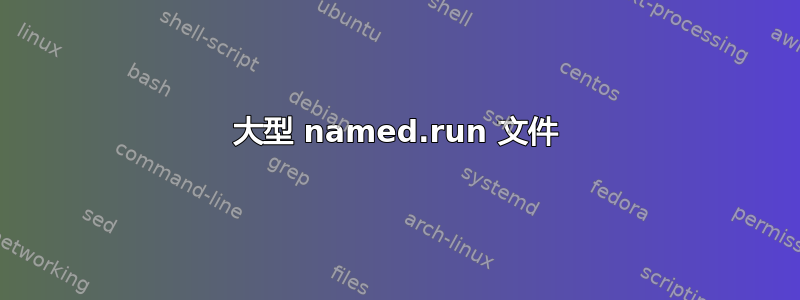 大型 named.run 文件