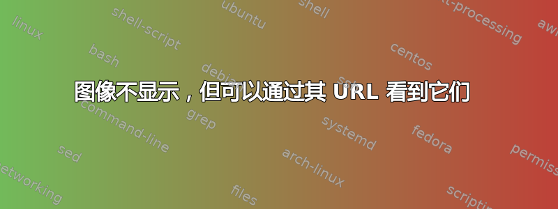 图像不显示，但可以通过其 URL 看到它们 