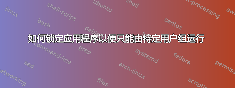 如何锁定应用程序以便只能由特定用户组运行