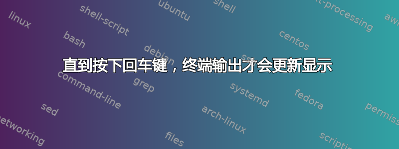 直到按下回车键，终端输出才会更新显示