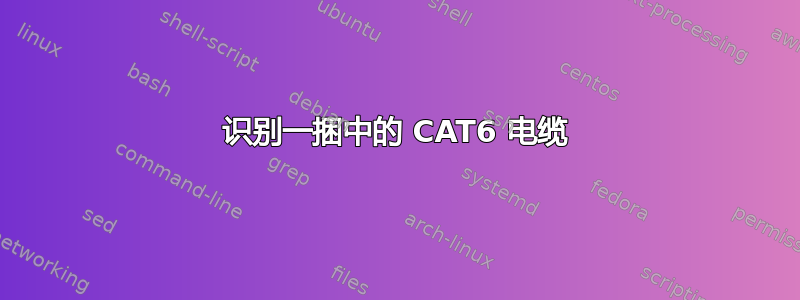 识别一捆中的 CAT6 电缆