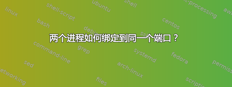 两个进程如何绑定到同一个端口？