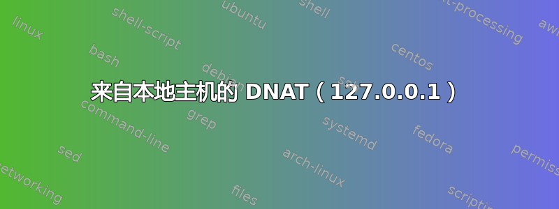 来自本地主机的 DNAT（127.0.0.1）