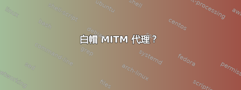 白帽 MITM 代理？