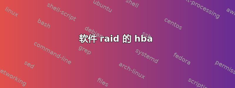 软件 raid 的 hba