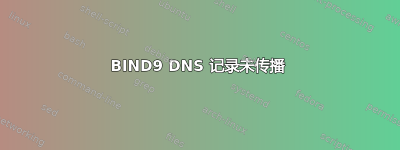 BIND9 DNS 记录未传播