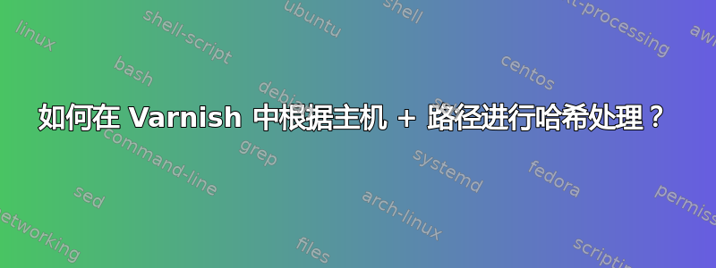 如何在 Varnish 中根据主机 + 路径进行哈希处理？