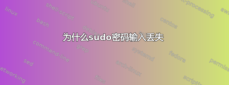 为什么sudo密码输入丢失