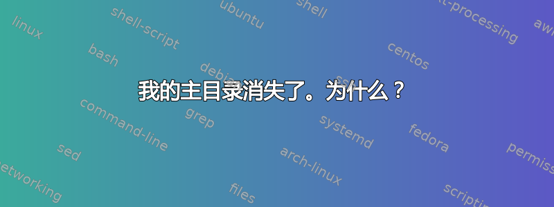 我的主目录消失了。为什么？