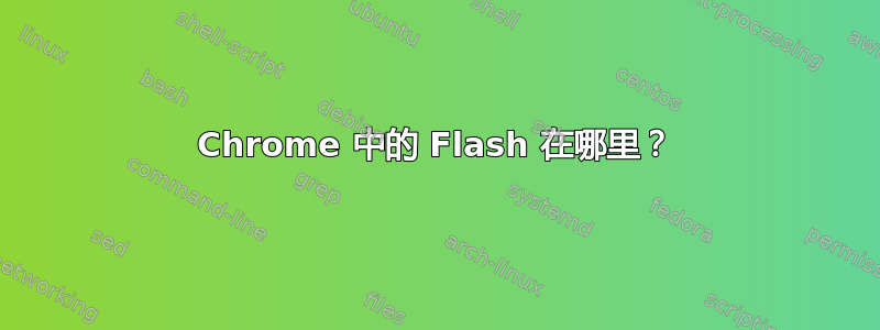 Chrome 中的 Flash 在哪里？