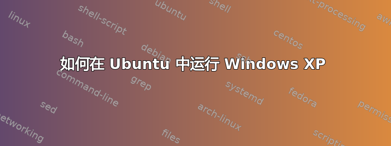 如何在 Ubuntu 中运行 Windows XP