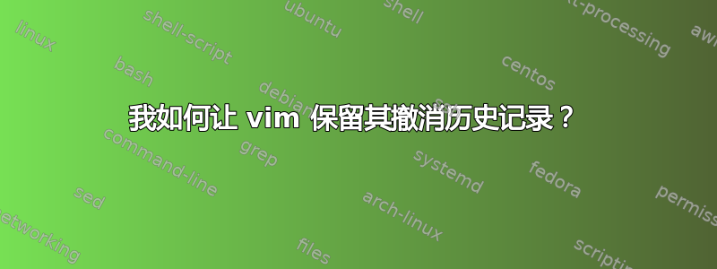 我如何让 vim 保留其撤消历史记录？