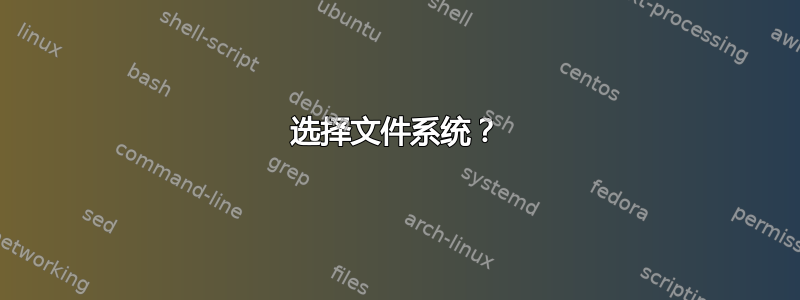 选择文件系统？