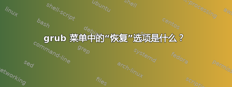 grub 菜单中的“恢复”选项是什么？