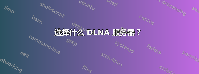 选择什么 DLNA 服务器？