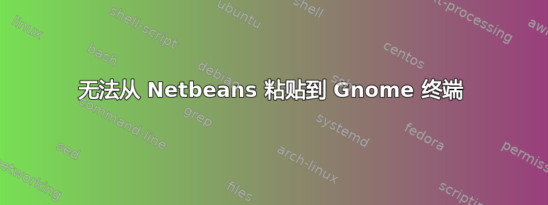 无法从 Netbeans 粘贴到 Gnome 终端