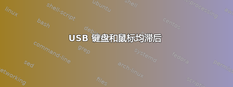 USB 键盘和鼠标均滞后