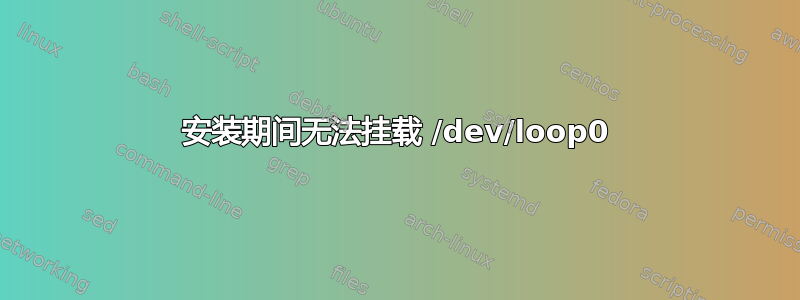 安装期间无法挂载 /dev/loop0