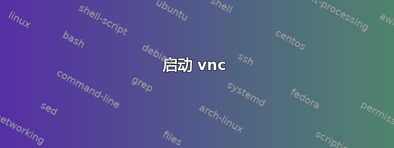 启动 vnc