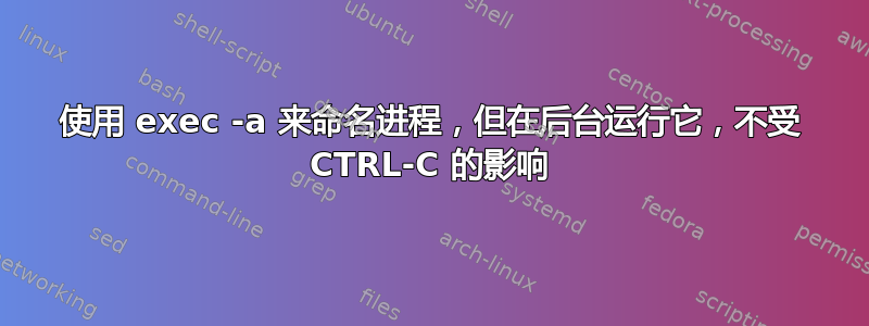 使用 exec -a 来命名进程，但在后台运行它，不受 CTRL-C 的影响