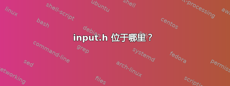 input.h 位于哪里？