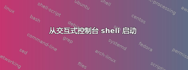 从交互式控制台 shell 启动