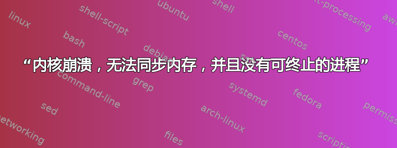 “内核崩溃，无法同步内存，并且没有可终止的进程”