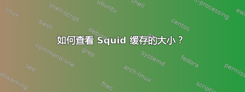 如何查看 Squid 缓存的大小？