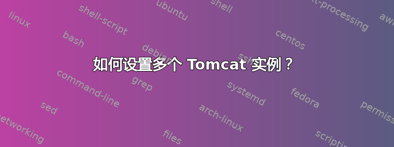 如何设置多个 Tomcat 实例？