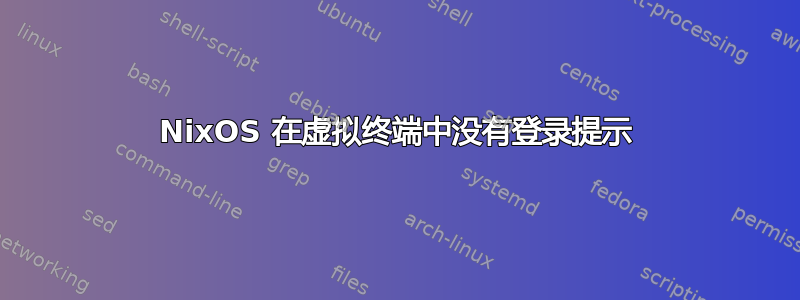 NixOS 在虚拟终端中没有登录提示