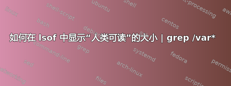 如何在 lsof 中显示“人类可读”的大小 | grep /var* 