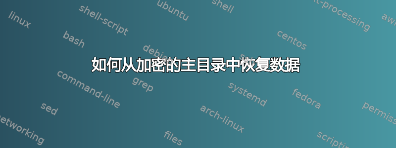 如何从加密的主目录中恢复数据