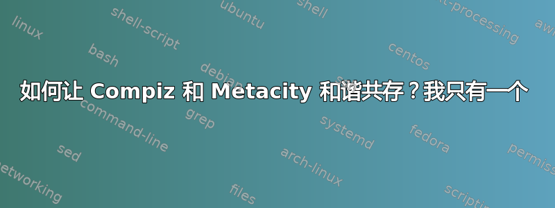 如何让 Compiz 和 Metacity 和谐共存？我只有一个