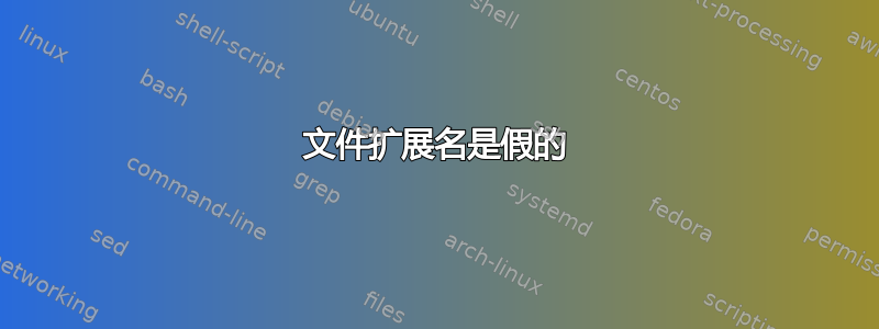 文件扩展名是假的