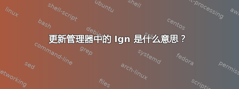 更新管理器中的 Ign 是什么意思？