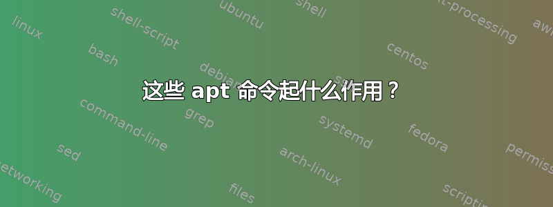 这些 apt 命令起什么作用？