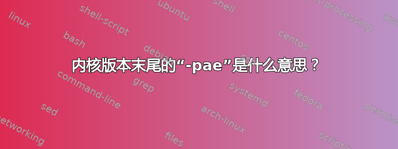 内核版本末尾的“-pae”是什么意思？