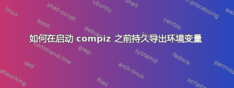 如何在启动 compiz 之前持久导出环境变量