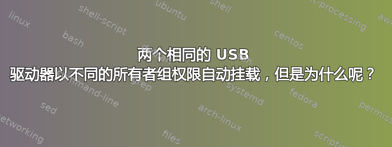 两个相同的 USB 驱动器以不同的所有者组权限自动挂载，但是为什么呢？