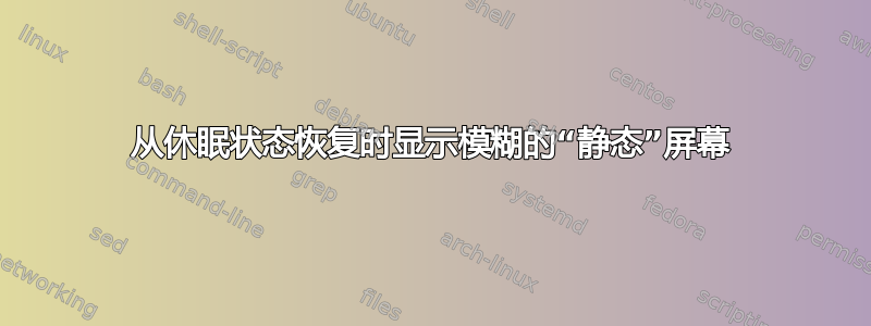 从休眠状态恢复时显示模糊的“静态”屏幕